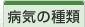 µμ